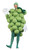 Green Grapes Unisex One Size Adult Fancy Dress Costume - IMAGE 1