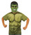 Green and Black Hulk Unisex Child Halloween Costume Set - Small - IMAGE 1