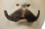 Chestnut Brown English M10 Men Adult Halloween Mustache Costume Accessory - Small - IMAGE 1