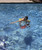 29" Red Underwater Swimming Pool Surf Board - IMAGE 4