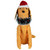 3D Lighted Sitting Dog Outdoor Christmas Decoration - 17.75" - Clear Lights - IMAGE 4
