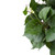 Artificial Pothos Floral Bush Spray - 22" - Green - IMAGE 2