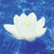 7.5" White Hydrotools Pool or Spa Floating Flower Candle Light - IMAGE 2