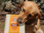 16pc Orange Barkaron Super Healthy Decadent Doggie Desserts with Chicken 6.5"