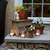 Set of 12 White Extra Large Unscented Tea Lights with 4 Clear Candle Holders 3.5” - IMAGE 2