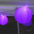 Set of 10 Purple Round Paper Lanterns with Electric Sting Lights 10" - IMAGE 2