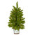 2’ Pre-Lit Potted Providence Pine Artificial Christmas Tree, Clear Lights - IMAGE 1