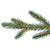 Real Touch™ Pre-Lit Cumberland Pine Artificial Christmas Tree - 12' Warm White LED - IMAGE 5