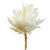 Artificial Pampas Floral Craft Grass Bundle - 14" - Cream - IMAGE 4