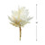 Artificial Pampas Floral Craft Grass Bundle - 14" - Cream - IMAGE 5