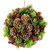 Pinecones, Berries and Pine Sprigs Frosted Christmas Ball Ornament - 5" - IMAGE 3