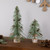 Frosted Bottle Brush Tree on Wooden Base Christmas Decoration - 8.5" - IMAGE 3