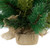 Spruce Pine Needle and Pinecone Artificial Mini Christmas Tree - 25" - Unlit - IMAGE 6
