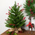 Real Touch™️ Potted Sarasota Pine Artificial Mini Christmas Tree - 24" - Unlit - IMAGE 1