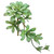Aeonium Succulent Artificial Pick Spray - 11.75" - Green - IMAGE 2