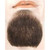 Goatee Men Adult Halloween Beard Costume Accessory - One Size - IMAGE 1