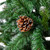 Full Two-Tone Buckeye Glittered Pine Artificial Christmas Tree - 10' - Unlit - IMAGE 6