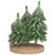Real Touch™ Icy Downswept Pine Trio of Trees Christmas Decoration - 8" - Unlit - IMAGE 2
