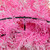 Pre-Lit Flocked Pine Artificial  Christmas Wreath - 24" - Pink - Clear Lights