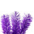 Pre-Lit Artificial Flocked Pine Christmas Garland - 9' - Purple - Clear Lights - IMAGE 5