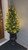 Pre-Lit Frasier Fir Artificial Christmas Tree - 36" - Warm White LED Lights - IMAGE 1