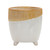 Dual Tone Ceramic Decorative Planter - 7.75" - IMAGE 1