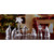 Pocket Size Christmas Nativity Set - 4.5" - Club Pack of 16 - IMAGE 2