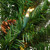 Real Touch™ Pre-Lit Mixed Noble Spruce Garland - 9' x 14" - Clear Lights - IMAGE 6