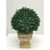25" Artificial Boxwood Outdoor Topiary with Urn - IMAGE 3