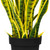 Artificial Potted Snake Plant - 38" - IMAGE 6