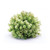 Variegated Foliage Half Orb Artificial Christmas Bushes - 6.5" - Set of 2 - IMAGE 1