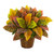17" Garden Croton Artificial Plant in Basket Planter - IMAGE 1