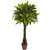 4' Money Artificial Plant in Brown Pot - IMAGE 1