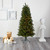 6' Pre-Lit Slim West Virginia Pine Artificial Christmas Tree, Clear Incandescent Lights - IMAGE 2