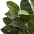 2' Artificial Oak Potted Ficus Plant - IMAGE 2