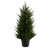 18” Pre-Lit Artificial Cedar Tree, Warm Clear LED Lights - IMAGE 4