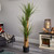 4.75' Yucca Artificial Silk Tree in Black Pot - IMAGE 2