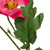 Cosmos Artificial Floral Sprays - 31" - Hot Pink - Set of 6 - IMAGE 6