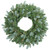 Pre-Lit Blue Spruce Artificial Christmas Wreath - 24" - Clear - IMAGE 2