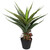 Artificial Potted Aloe Plant - 24" - IMAGE 2