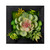 Succulent Wall Box Hanging Decorations - 6" - Set of 6 - IMAGE 1