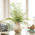 Rustic Paper Chalk Vase - 9.75" - Beige - IMAGE 4