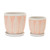 Long Leaf Stone Planters with Plate - 5" - White and Pink - Set of 2 - IMAGE 1