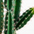 Cactus Artificial Plant with Terracotta Planter - 5' - IMAGE 4