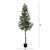 Potted Black Olive Artificial Tree - 13'