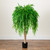 Willow Artificial Potted Tree - 4' - IMAGE 1