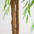 Potted Willow Artificial Tree - 8' - Green - IMAGE 5