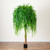 Artificial Potted Willow Tree - 6' - Green - IMAGE 1