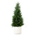 Potted Cedar Artificial Tree - 3' - Green and White - IMAGE 2