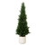 Potted Cedar Artificial Tree with White Planter - 4' - Green - IMAGE 2